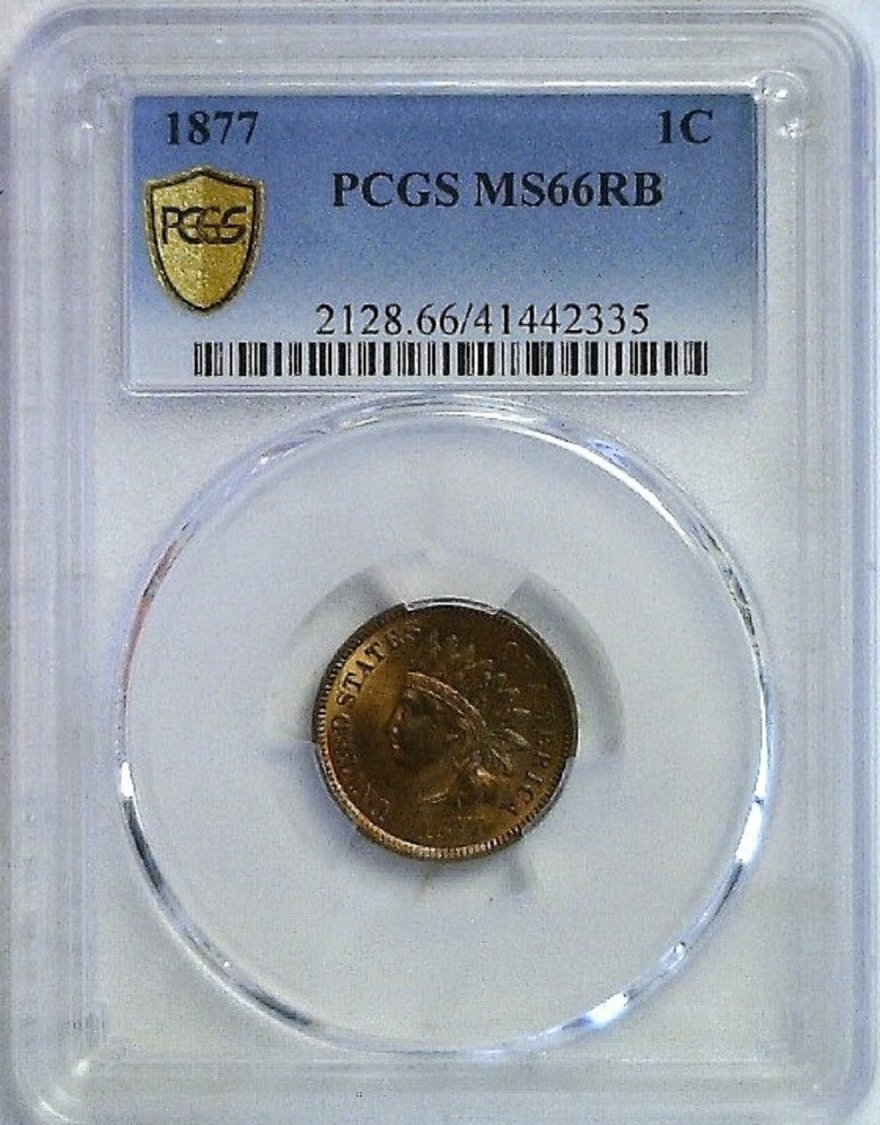 1877-1c-Indian-Head-Cent